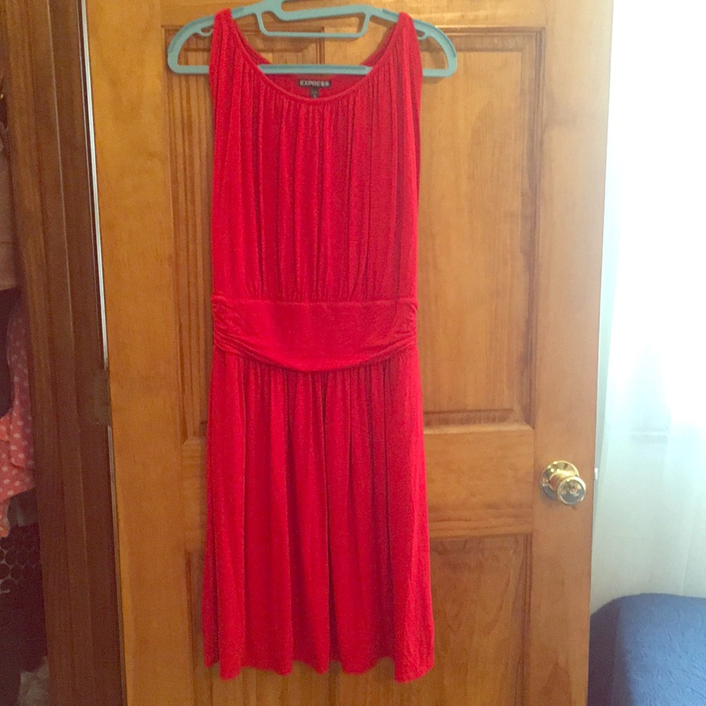 Red lined express dress